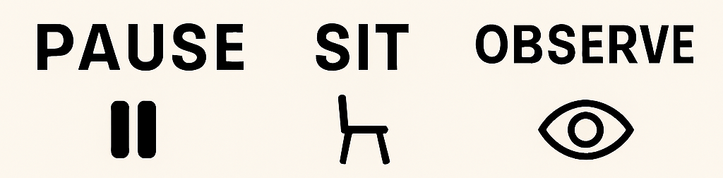 Pause Sit Observe